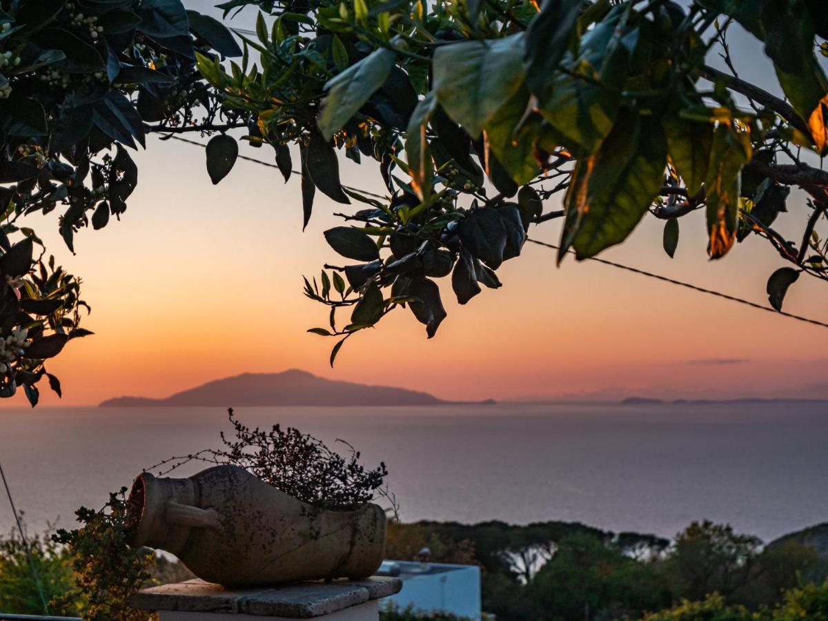 Casa Astra Bed & Breakfast อนากาปรี ภายนอก รูปภาพ