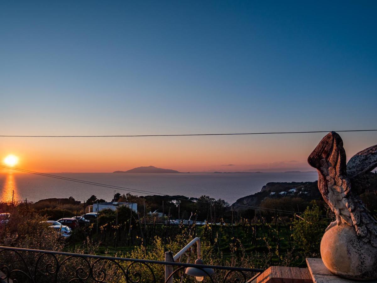 Casa Astra Bed & Breakfast อนากาปรี ภายนอก รูปภาพ