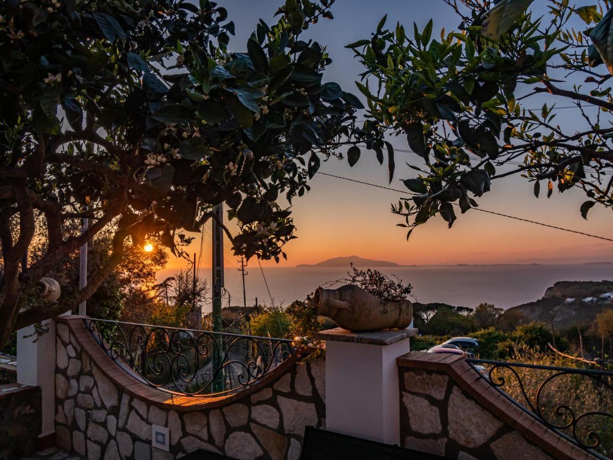 Casa Astra Bed & Breakfast อนากาปรี ภายนอก รูปภาพ