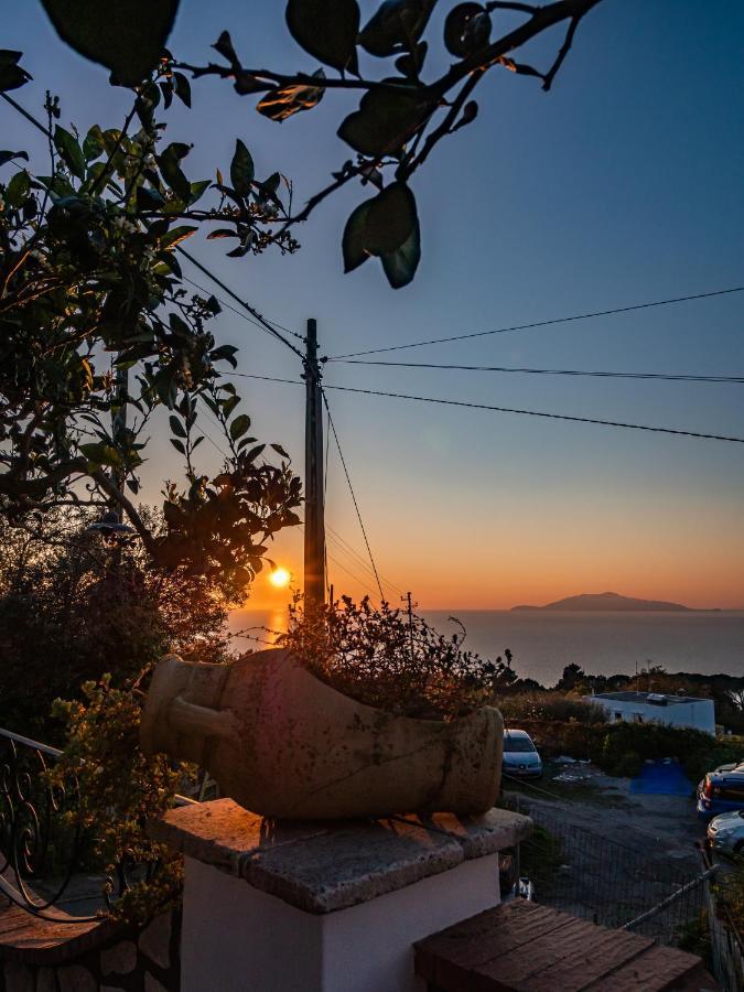 Casa Astra Bed & Breakfast อนากาปรี ภายนอก รูปภาพ