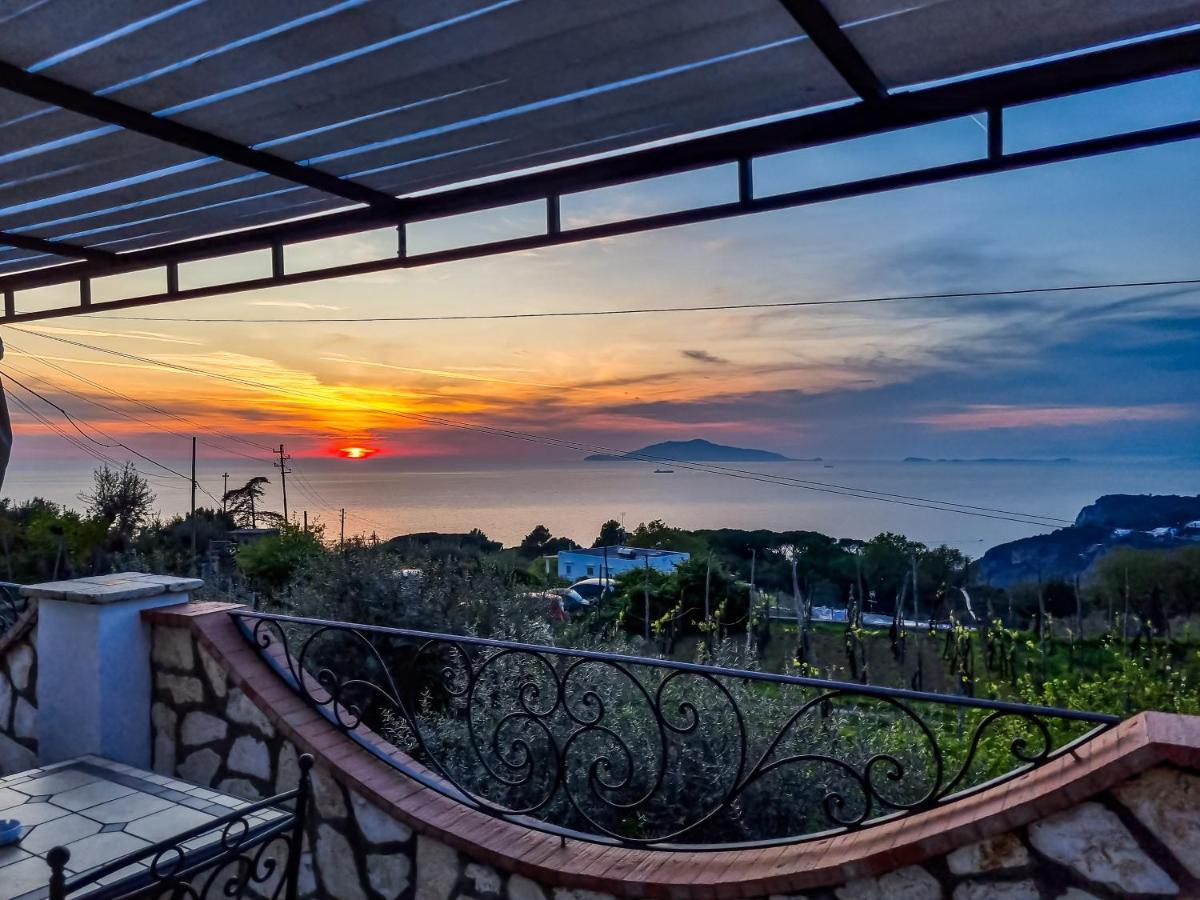 Casa Astra Bed & Breakfast อนากาปรี ภายนอก รูปภาพ