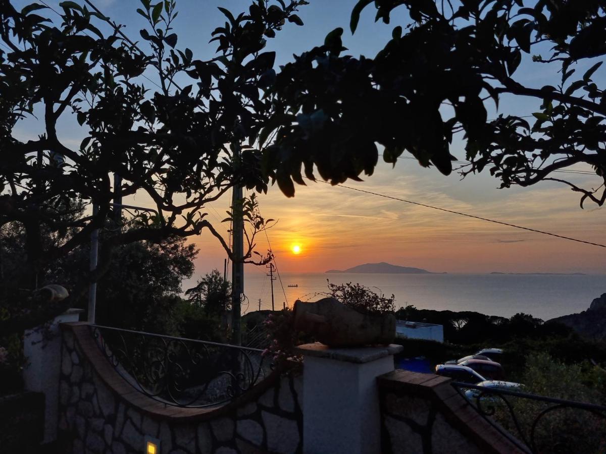 Casa Astra Bed & Breakfast อนากาปรี ภายนอก รูปภาพ